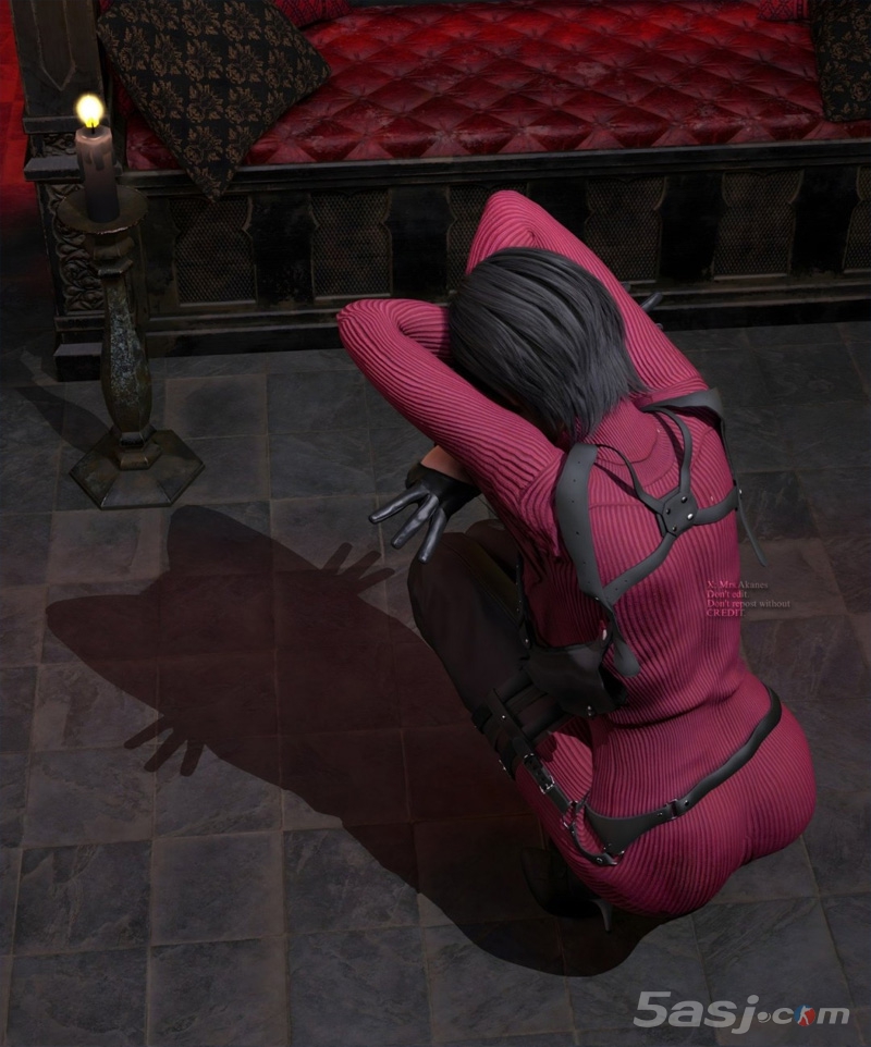 《生化危机4》艾达王3D新美图 复刻小猫影子拍照