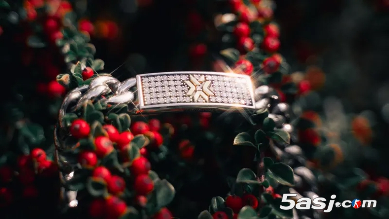 2025巴黎VCT全球冠军赛FMVP揭晓！独家Good Art手链＋新王登基全记录