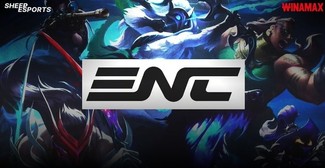 爆料人“恋恋红茶”：英雄联盟国家队首次选拔内幕曝光